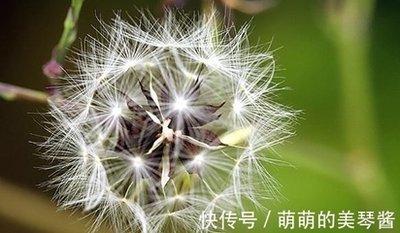 属兔的不能和属什么的合作 和谁合作会失败