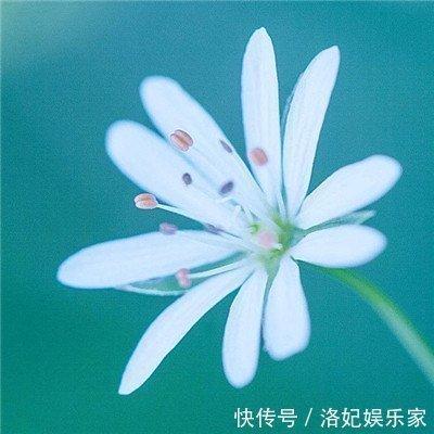 属猪的男人花心吗 一心一意对待爱人