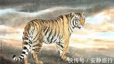 属虎的性格和脾气(属虎的性格和脾气女人)