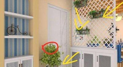 属猪的转运植物 为大家介绍属于猪人开运植物