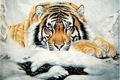 属虎的犯克属相 遇上什么属相最倒霉