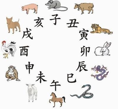 属猪相克的属相，属猪与什么属相相克