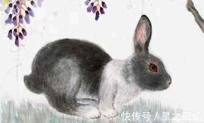 属兔的人在2025年中有哪些好运气和坏运气