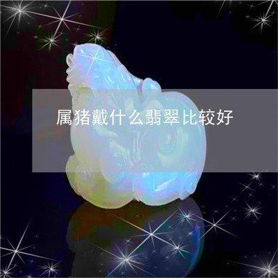 属猪适合戴什么饰品 日常佩戴什么饰品