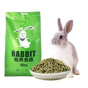 属兔的几日出生最好命 哪几天出生的属兔人命运好