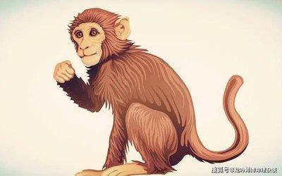 属猴2025年的岁数 属猴的2025年多大