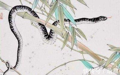 属蛇人的桃花贵人是谁 哪些生肖会属蛇人爱情有利