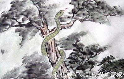 属蛇2025年财运怎么样 蛇年属蛇人几月份财运好