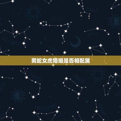 属蛇与属虎的婚姻配吗 虎跟蛇结婚好不好