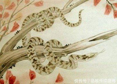 属蛇佩戴什么旺财 想旺财可以佩戴啥