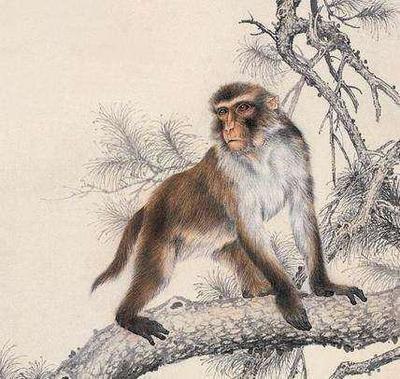 属猴人2025年9月份运势详解 哪方面的运势最好