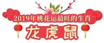 属蛇人2025年桃花运,2025属马的桃花位在哪