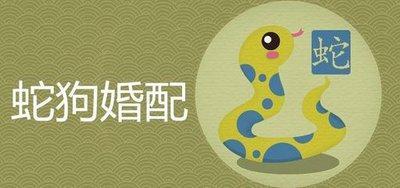 属蛇和什么属相最配对 哪几个生肖配对生肖蛇