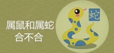属蛇和什么属相最配对 哪几个生肖配对生肖蛇