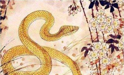 属蛇和属什么生肖最好 谁最适合属蛇人