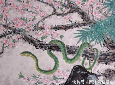 属蛇人今年运势分析 2025年生肖蛇运气怎么样