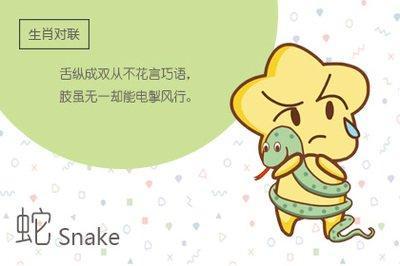 属蛇人佩戴什么招财 这些饰品可以带来财运