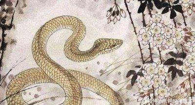 属蛇人命里的贵人 什么属相是属蛇人的贵人 属蛇人命里的贵人 什么属相是属蛇人的贵人