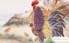 属蛇人和属鸡人配吗 属蛇人和属鸡人如何相处