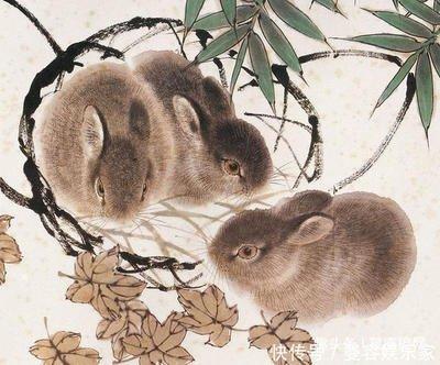 属蛇和属鼠相配吗 生肖蛇与生肖鼠的婚姻会好吗