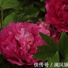 属鼠男人生气怎么哄 属鼠男人生气几天消