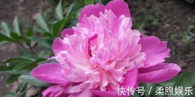 属鼠男人生气怎么哄 属鼠男人生气几天消