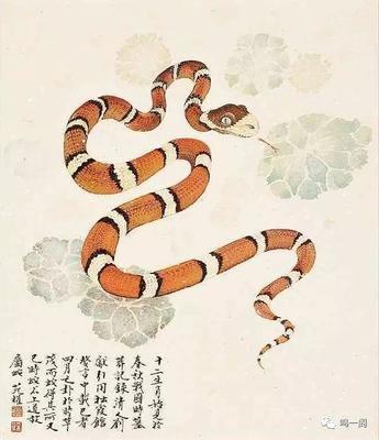 属蛇人明年运势2025 2025年属蛇人全年运势