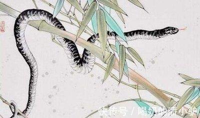 属蛇人未来5年的财运分析 能不能赚大钱呢