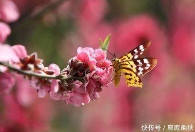 属蛇女喜欢什么男人 什么样的男人吸引属蛇女 属蛇女喜欢什么男人 什么样的男人吸引属蛇女