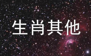 属鼠的与什么生肖合作最好 属鼠人与什么生肖相合