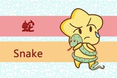 属蛇想要什么样的生活女 属蛇人的理想生活