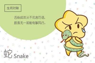 属蛇想要什么样的生活女 属蛇人的理想生活