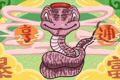 属蛇最佳婚配 什么生肖与属蛇人很配