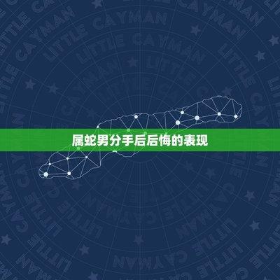 属蛇男分手后的表现 会后悔和你分手吗