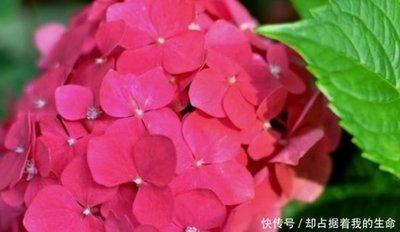 属蛇男喜欢什么样女人 什么样的女人吸引属蛇男