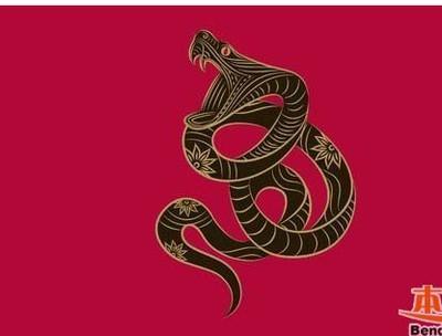 属蛇的人2025年运程 生肖蛇今年的运气好不好 属蛇的人2025年运程 生肖蛇今年的运气好不好