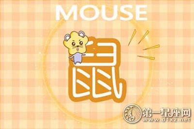 属鼠的女孩不喜欢哪种男生 与这些男人不会有结果
