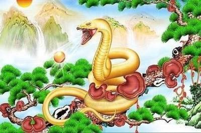 属蛇的人命好不好 生肖蛇命运好坏分析