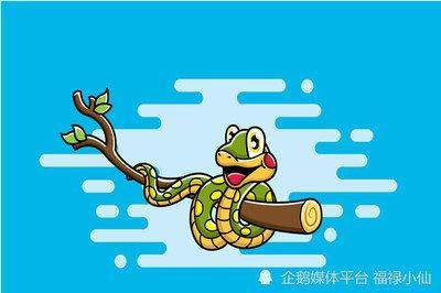 属蛇的人如何在2025年结束单身生活
