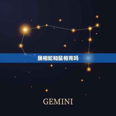 属鼠的找属啥的媳妇好 属鼠的找媳妇的标准