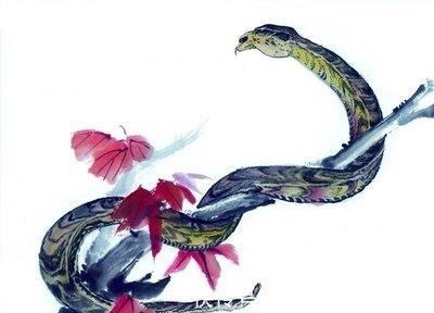 属蛇的人最喜欢什么 什么事情可以让属蛇人开心