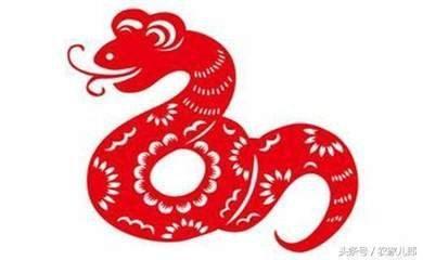 属蛇的人财运 一生会因为钱而困扰吗