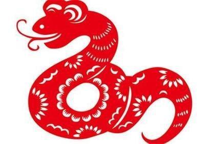 属蛇的人进入2025年之后有着怎样的运势