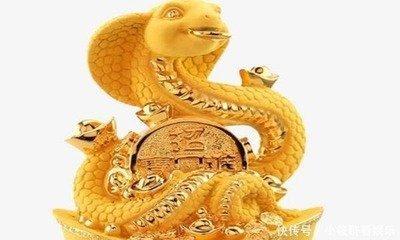 属蛇的什么生肖最配 生肖蛇和哪些生肖很配