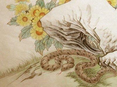 属蛇的几月出生好 好命的属蛇人在这些月份出生