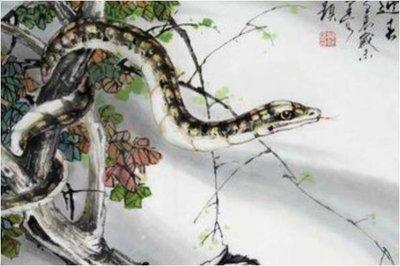 属蛇的几月出生最好，属蛇人出生月的命运