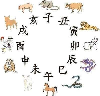 属鼠相克的属相，属鼠与什么属相相克