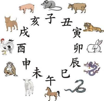 属鼠相克的属相，属鼠与什么属相相克