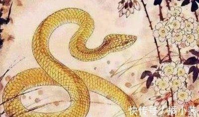 属蛇的几月出生最好，属蛇人出生月的命运