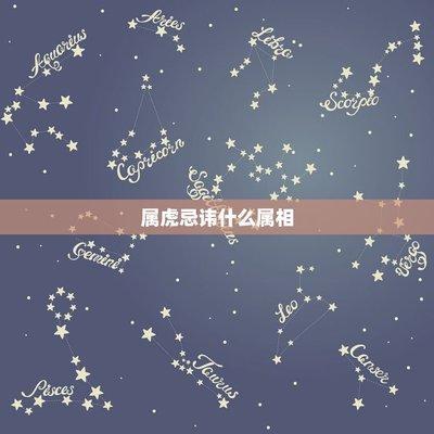 属鼠跟属什么生肖不和 属鼠人结婚不找什么生肖
